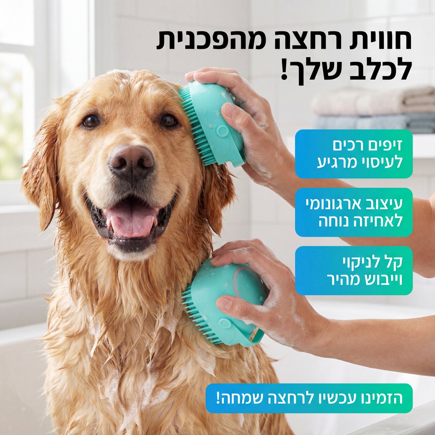 מברשת הרחצה לכלב