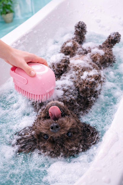 מברשת הרחצה לכלב